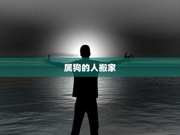 属狗的人搬家