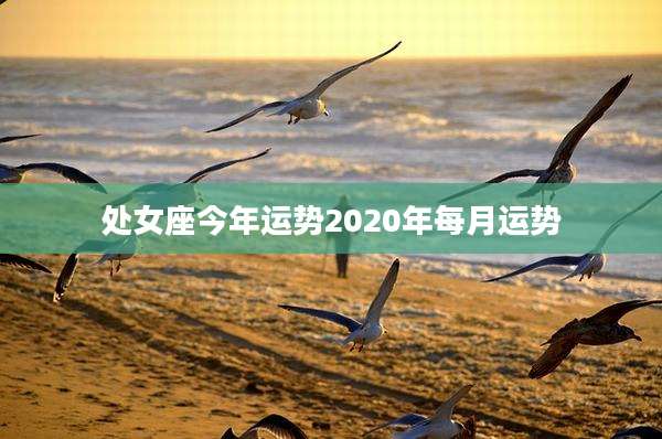 处女座今年运势2020年每月运势