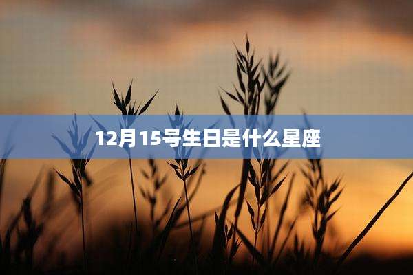 12月15号生日是什么星座