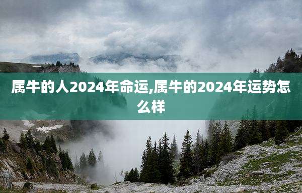 属牛的人2024年命运,属牛的2024年运势怎么样