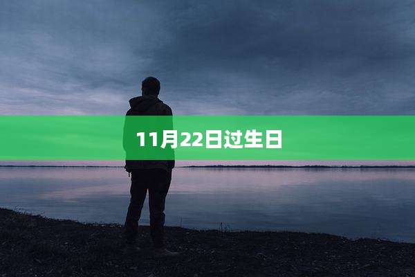 11月22日过生日