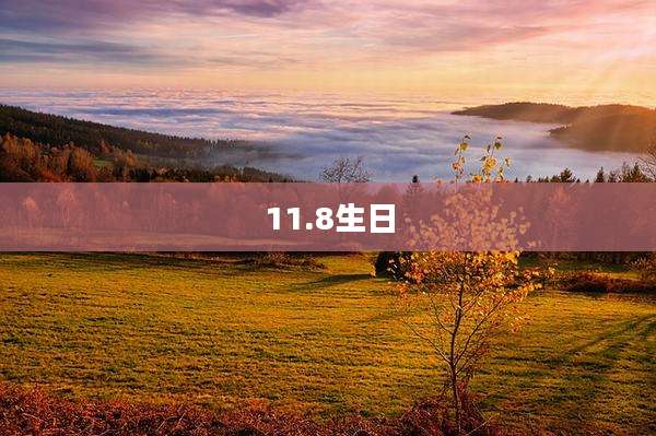 11.8生日