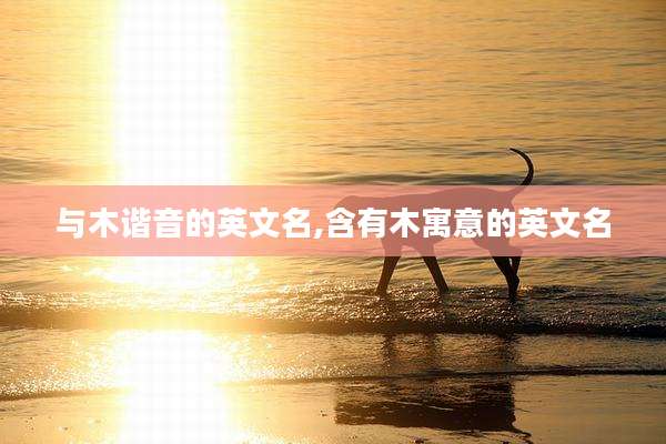 与木谐音的英文名,含有木寓意的英文名