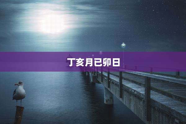 丁亥月已卯日