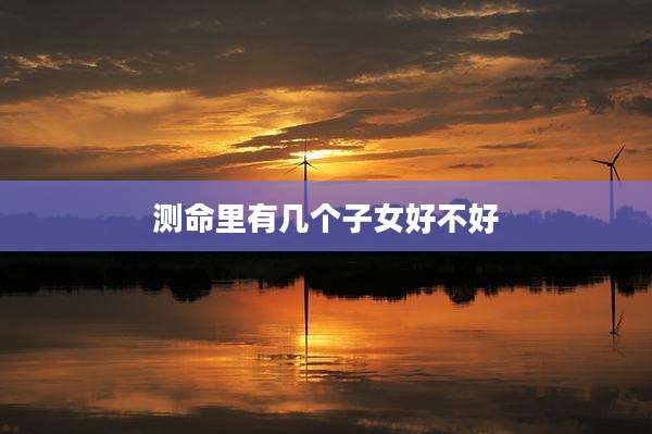 测命里有几个子女好不好