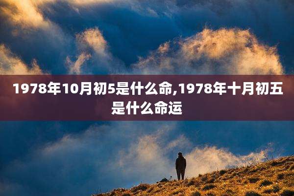 1978年10月初5是什么命,1978年十月初五是什么命运