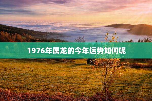 1976年属龙的今年运势如何呢
