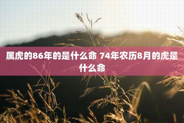 属虎的86年的是什么命 74年农历8月的虎是什么命