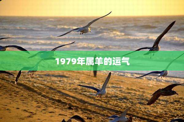 1979年属羊的运气