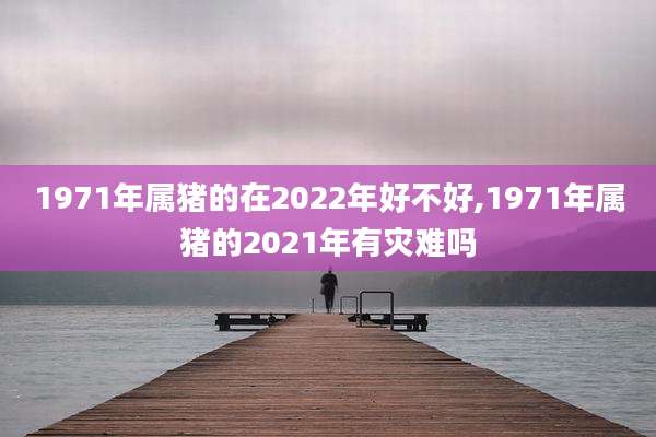 1971年属猪的在2022年好不好,1971年属猪的2021年有灾难吗