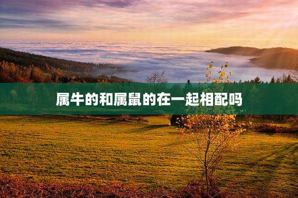 属牛的和属鼠的在一起相配吗