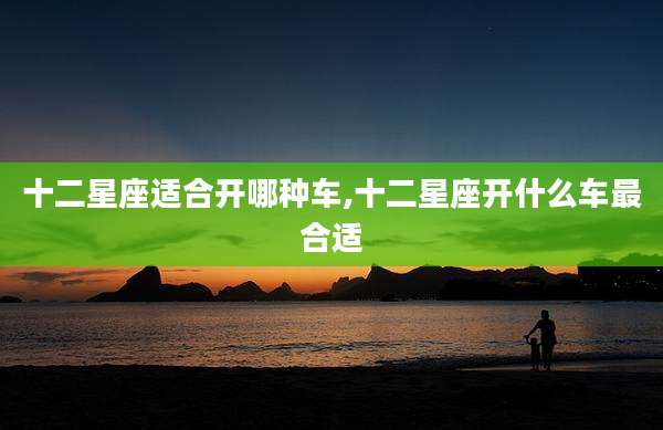 十二星座适合开哪种车,十二星座开什么车最合适