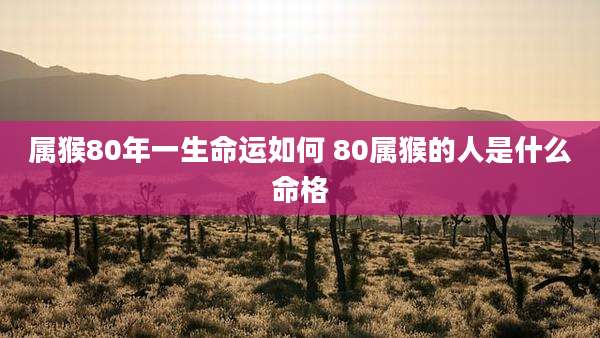 属猴80年一生命运如何 80属猴的人是什么命格