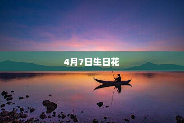 4月7日生日花
