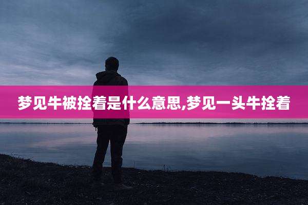 梦见牛被拴着是什么意思,梦见一头牛拴着