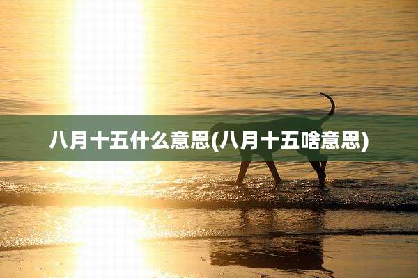 八月十五什么意思(八月十五啥意思)