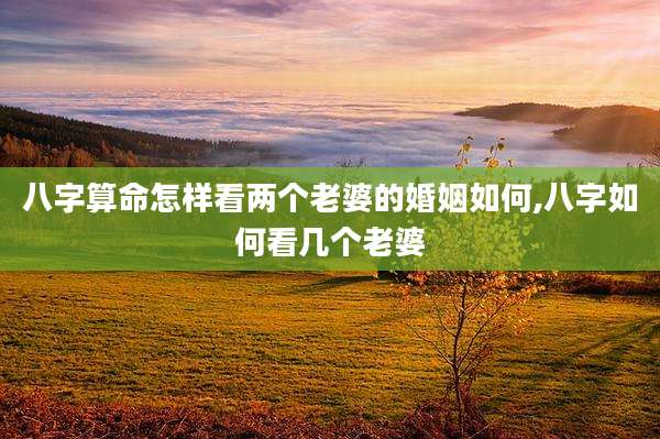 八字算命怎样看两个老婆的婚姻如何,八字如何看几个老婆