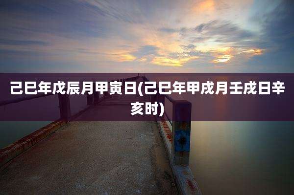 己巳年戊辰月甲寅日(己巳年甲戌月壬戌日辛亥时)