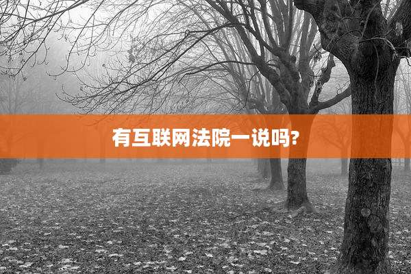 有互联网法院一说吗?