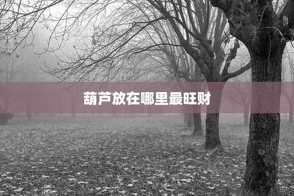 葫芦放在哪里最旺财