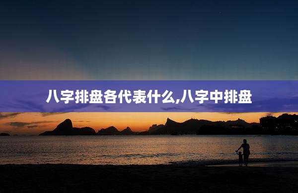 八字排盘各代表什么,八字中排盘