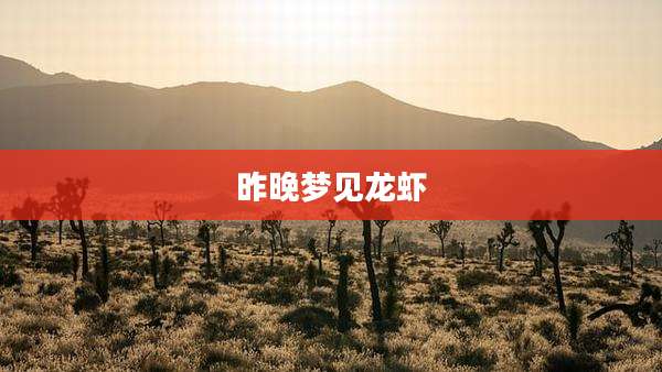 昨晚梦见龙虾