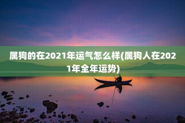 属狗的在2021年运气怎么样(属狗人在2021年全年运势)