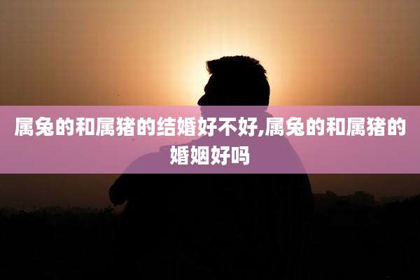属兔的和属猪的结婚好不好,属兔的和属猪的婚姻好吗