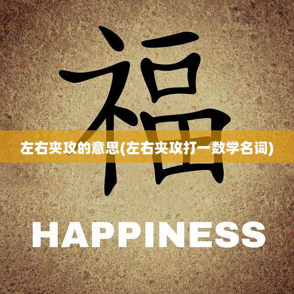 左右夹攻的意思(左右夹攻打一数学名词)