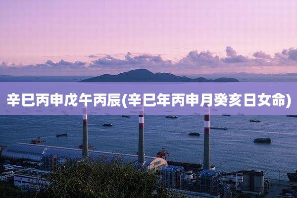 辛巳丙申戊午丙辰(辛巳年丙申月癸亥日女命)