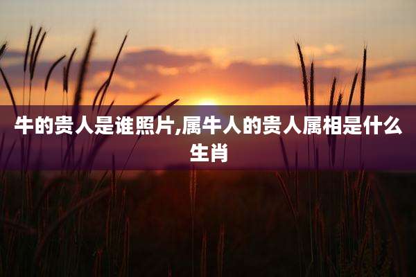 牛的贵人是谁照片,属牛人的贵人属相是什么生肖