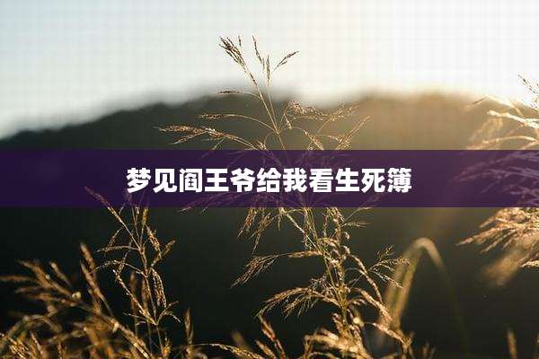 梦见阎王爷给我看生死簿