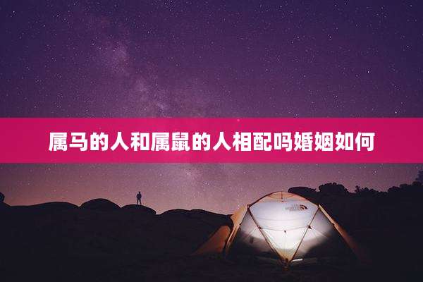 属马的人和属鼠的人相配吗婚姻如何