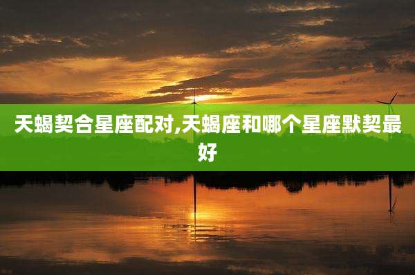 天蝎契合星座配对,天蝎座和哪个星座默契最好