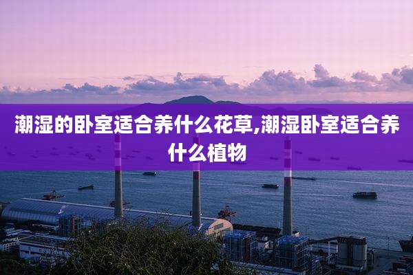 潮湿的卧室适合养什么花草,潮湿卧室适合养什么植物