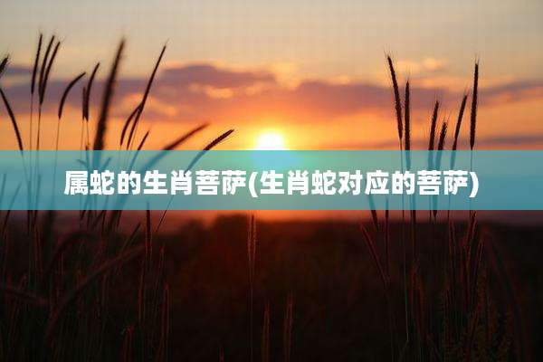 属蛇的生肖菩萨(生肖蛇对应的菩萨)