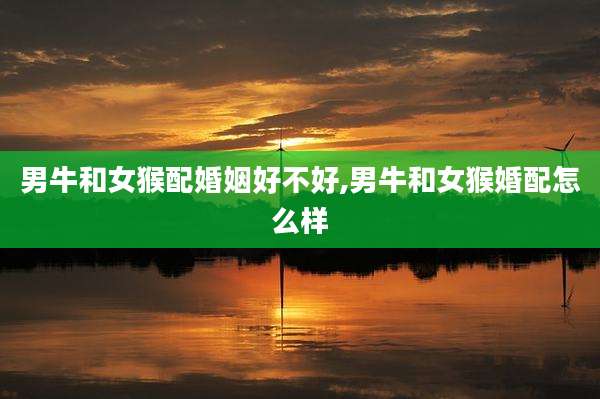 男牛和女猴配婚姻好不好,男牛和女猴婚配怎么样