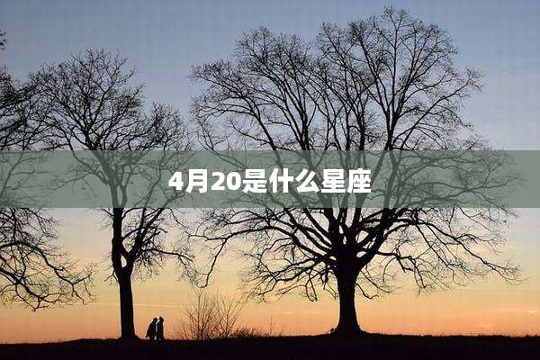 4月20是什么星座