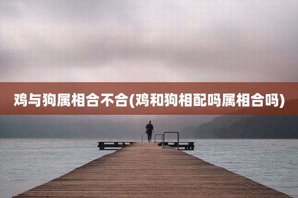 鸡与狗属相合不合(鸡和狗相配吗属相合吗)