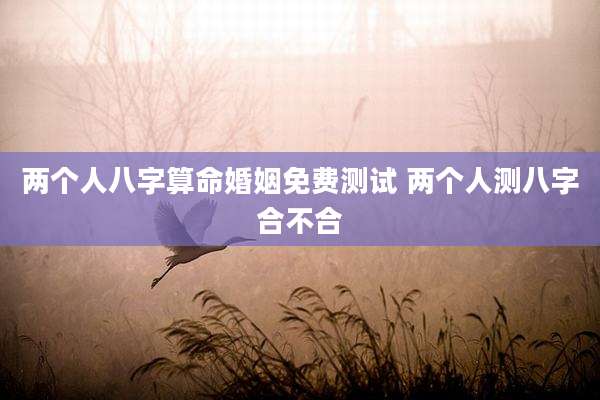 两个人八字算命婚姻免费测试 两个人测八字合不合