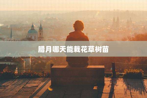 腊月哪天能栽花草树苗