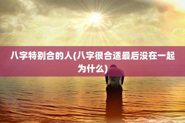 八字特别合的人(八字很合适最后没在一起为什么)