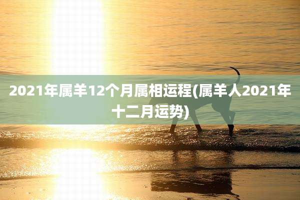 2021年属羊12个月属相运程(属羊人2021年十二月运势)