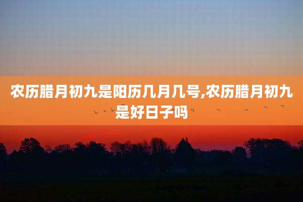 农历腊月初九是阳历几月几号,农历腊月初九是好日子吗