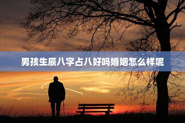 男孩生辰八字占八好吗婚姻怎么样呢
