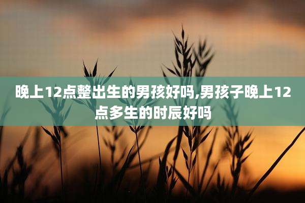 晚上12点整出生的男孩好吗,男孩子晚上12点多生的时辰好吗