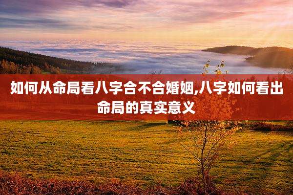 如何从命局看八字合不合婚姻,八字如何看出命局的真实意义