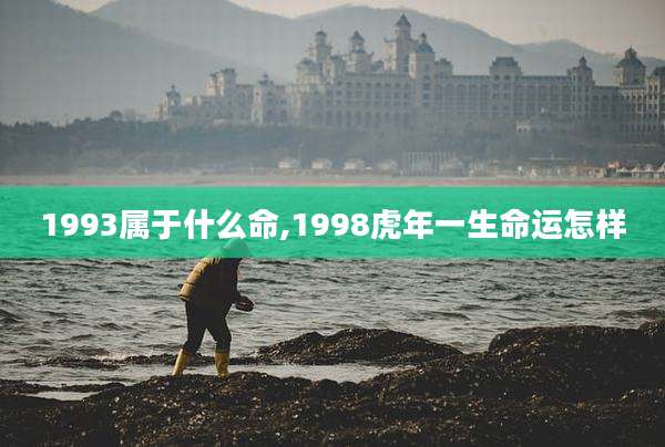 1993属于什么命,1998虎年一生命运怎样