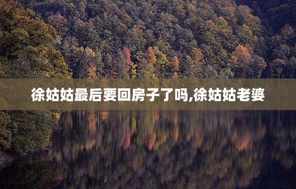 徐姑姑最后要回房子了吗,徐姑姑老婆