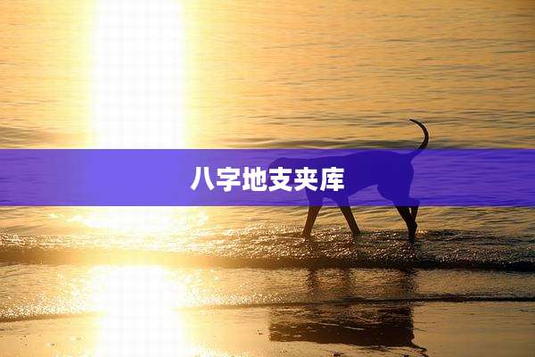 八字地支夹库